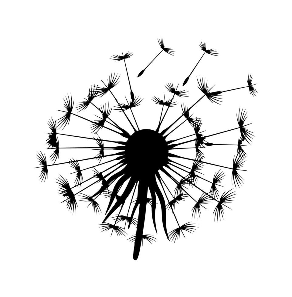 A black and white graphic of a dandelion with a large seed head and floating seeds vector