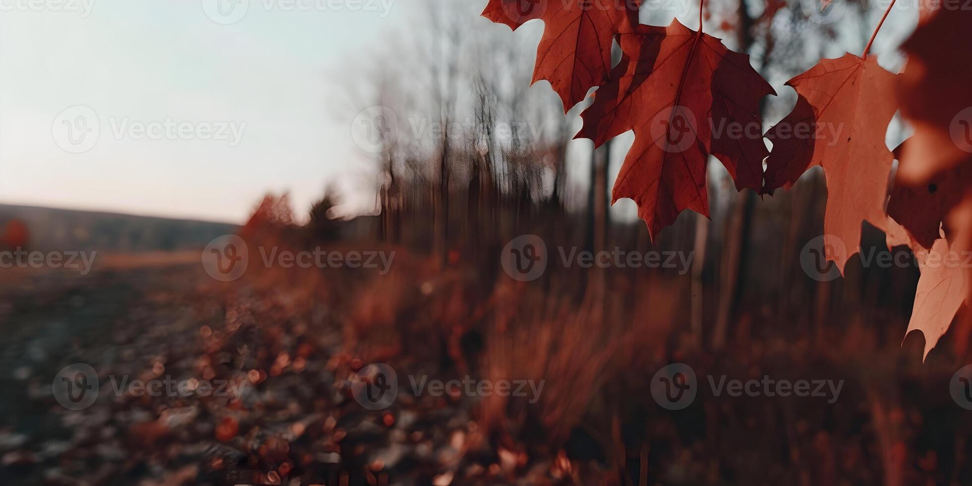 Rich reddish autumn leaves hang from a tree branch with a blurred forest and fallen leaves creating a warm natural background photo