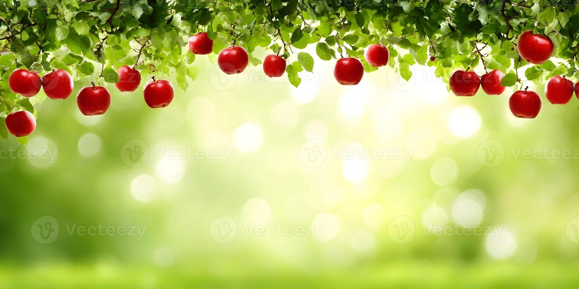 Fresh red apples dangle from lush green branches with sunlit bokeh creating a vibrant natural frame photo