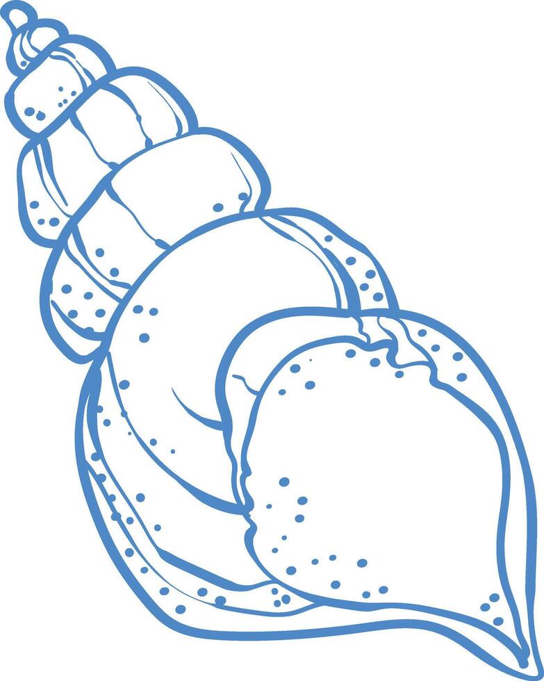 art illustration of a seashell. marine design with smooth curves and dotted texture. vector