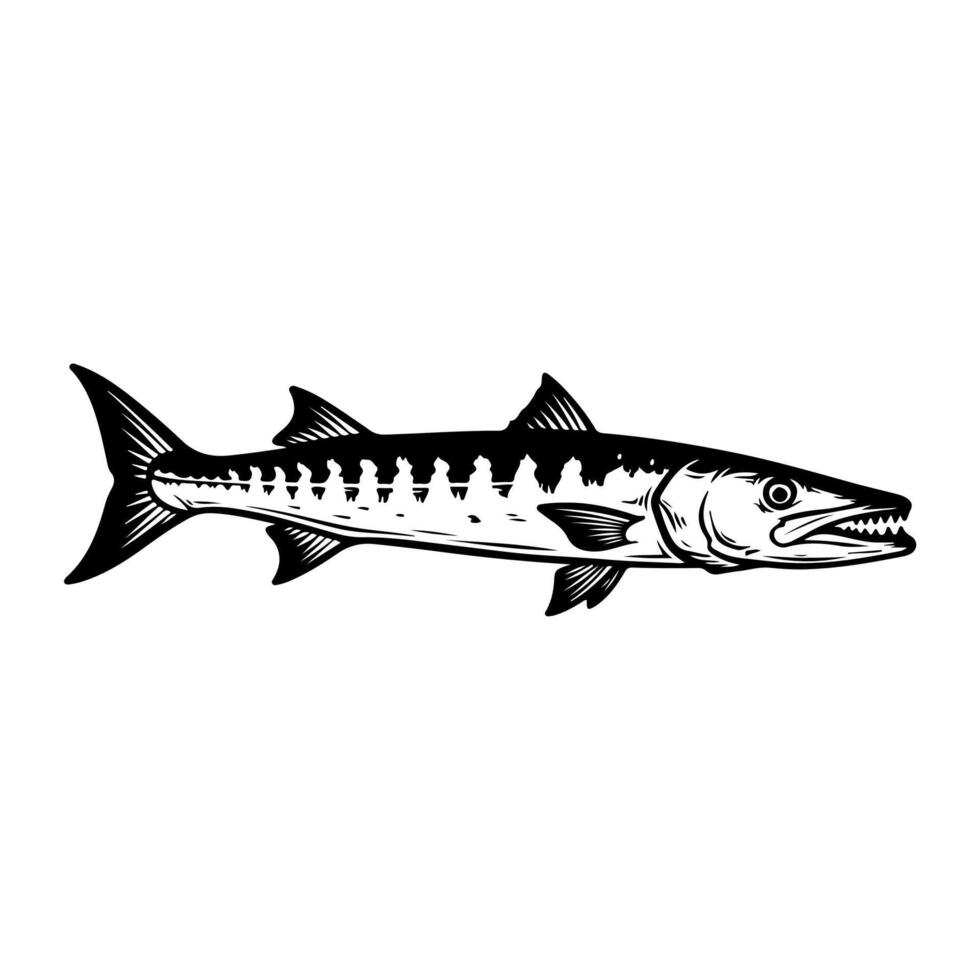 A sleek, monochrome illustration of a barracuda in profile with sharp teeth vector