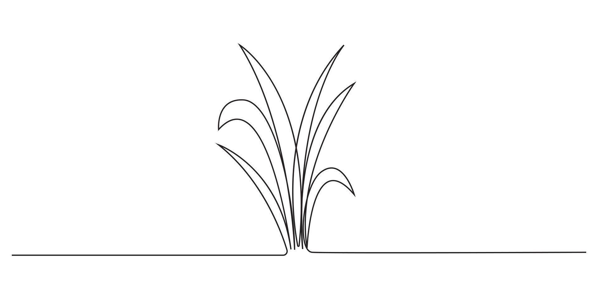Minimalist Continuous Line Drawing of Grass,Continuous Line Grass Drawing vector
