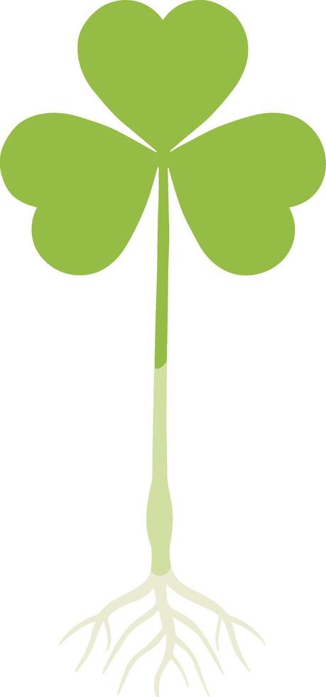 Minimalist Flat Style Shamrock with Root Isolated on White Background vector