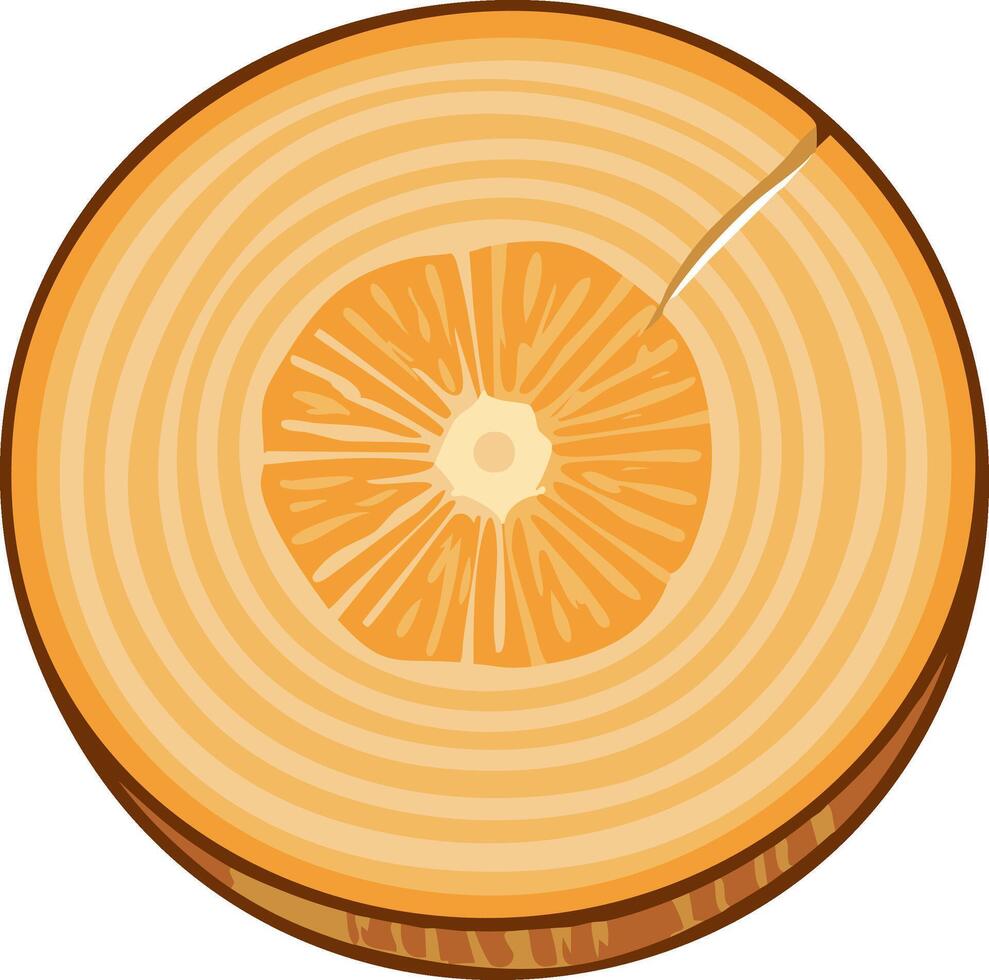 Cross Section of a Tree Trunk Showing Annual Rings and Growth Pattern vector