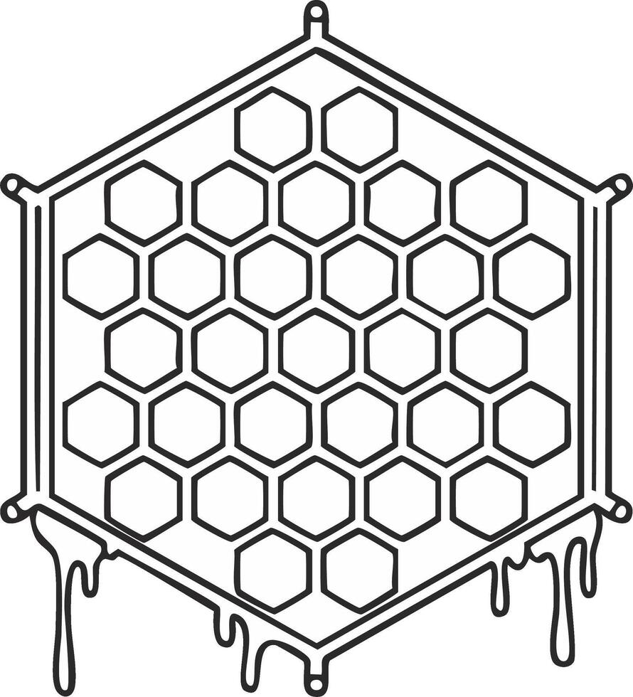 Honeycomb hexagon frame with dripping honey illustration vector