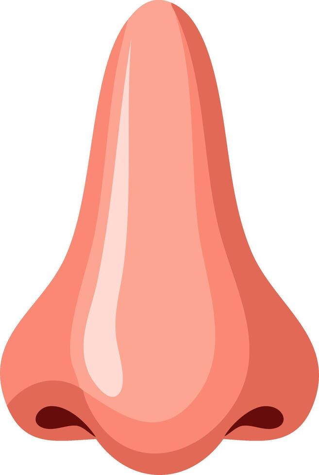 Stylized cartoon illustration of a human nose with smooth gradient shading and simple shapes vector