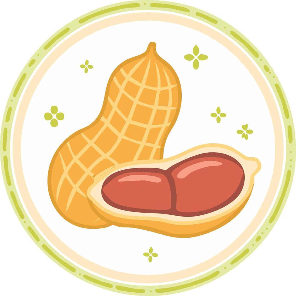 Illustration of Whole and Opened Peanut with Kernels in Circular Frame with Floral Accents vector