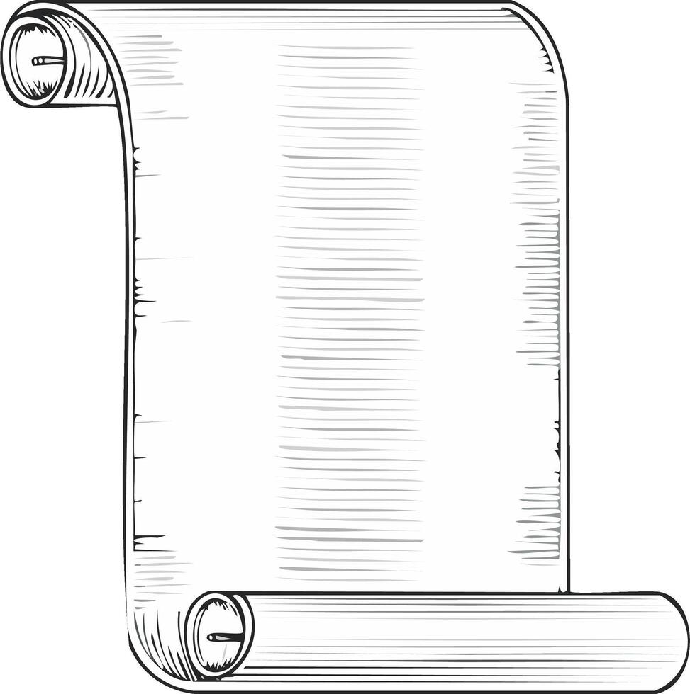 Antique Scroll Paper Illustration Unrolled Blank Message Design Texture vector