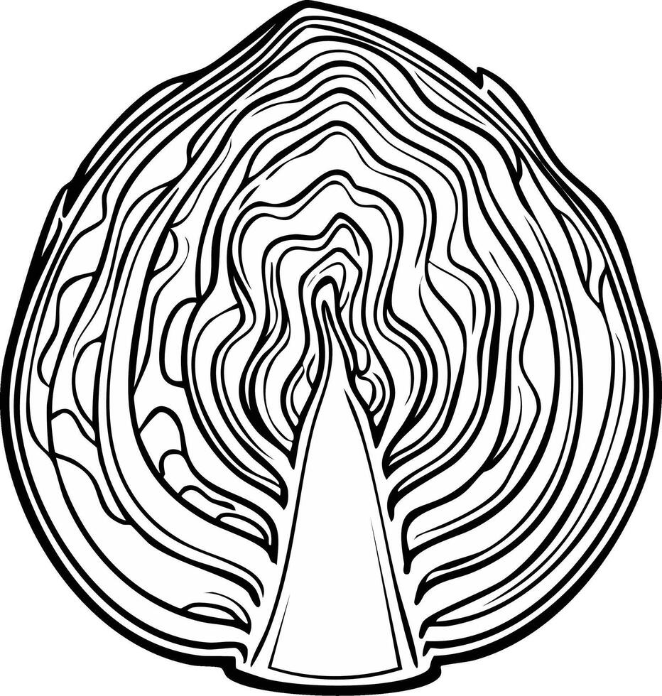 Cross Section of a Cabbage with Concentric Leaf Layers and Triangular Core vector