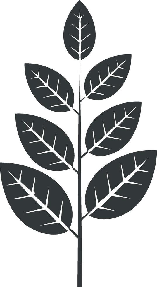 Elegant Simple Leaves and Branches Design Element for Illustration vector