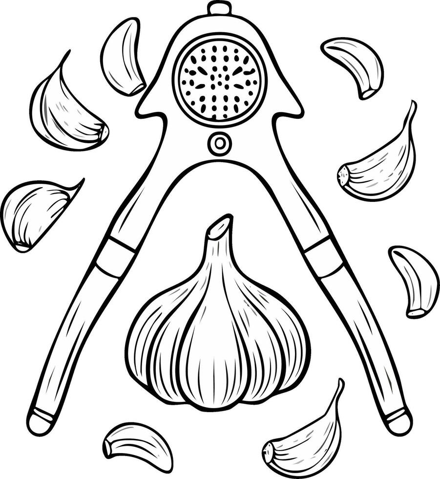 Garlic bulb and cloves with a manual press tool in a simple line drawing style vector