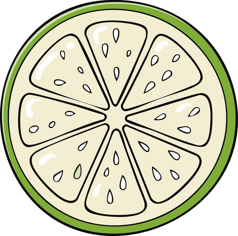 Cartoon illustration of a lime slice with seeds and segmented sections, fresh citrus fruit vector