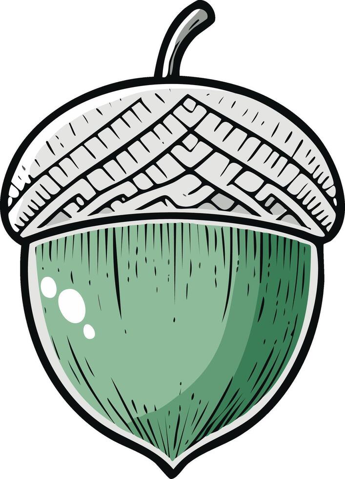 Detailed green acorn drawing with a distinct textured cap and stem element vector