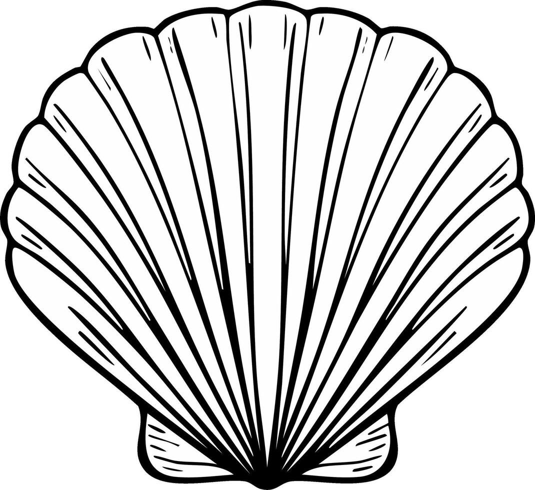 Stylized Line Drawing of a Large Scallop Seashell with Ribbed Texture vector