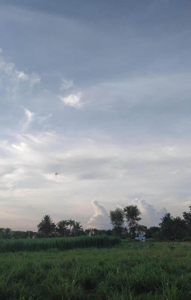 Expansive rural landscape under a vast cloudy sky. Green fields stretch towards distant trees and structures evoking a sense of open space and tranquility. photo