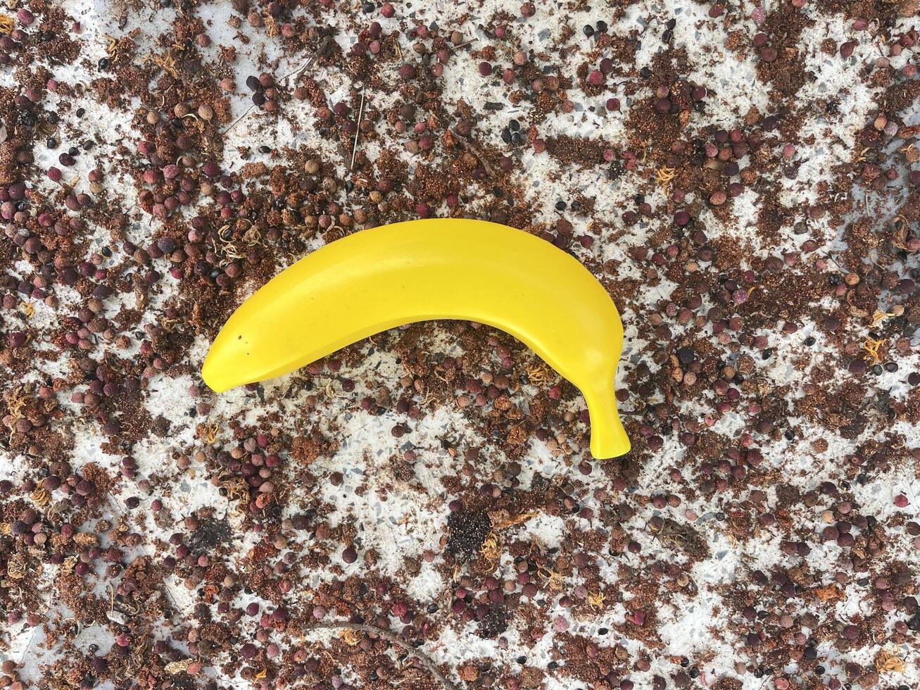 Vibrant Yellow Banana Surrounded by Textured Spice Materials on a Rustic Surface Ideal for Culinary or Food-Related Stock Photography Projects photo