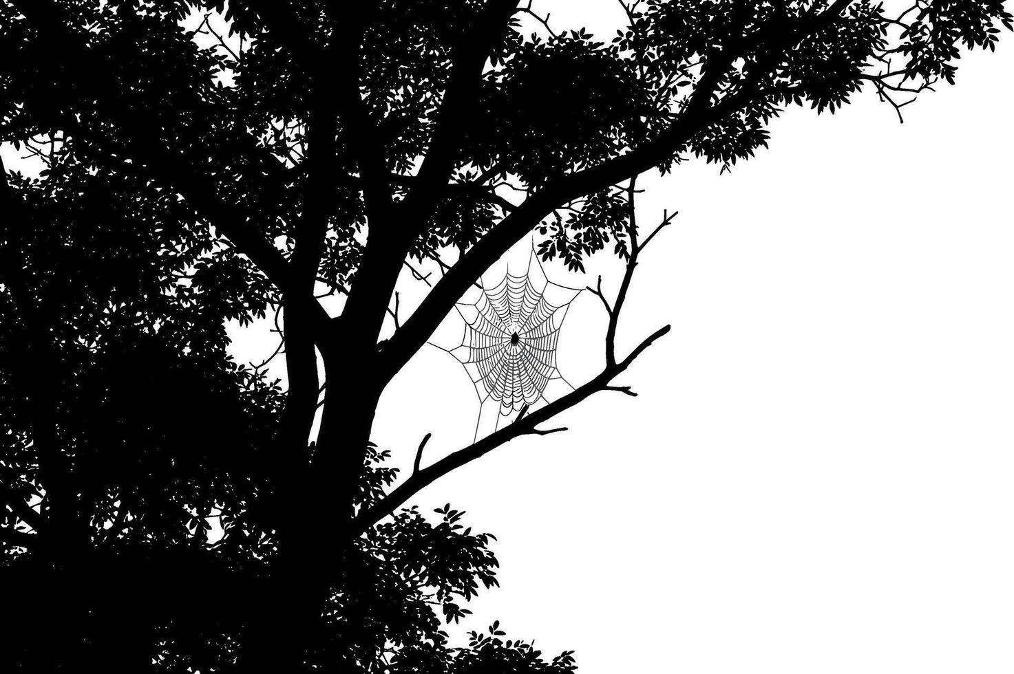 Silhouette of a spider web on a tree against a white background vector