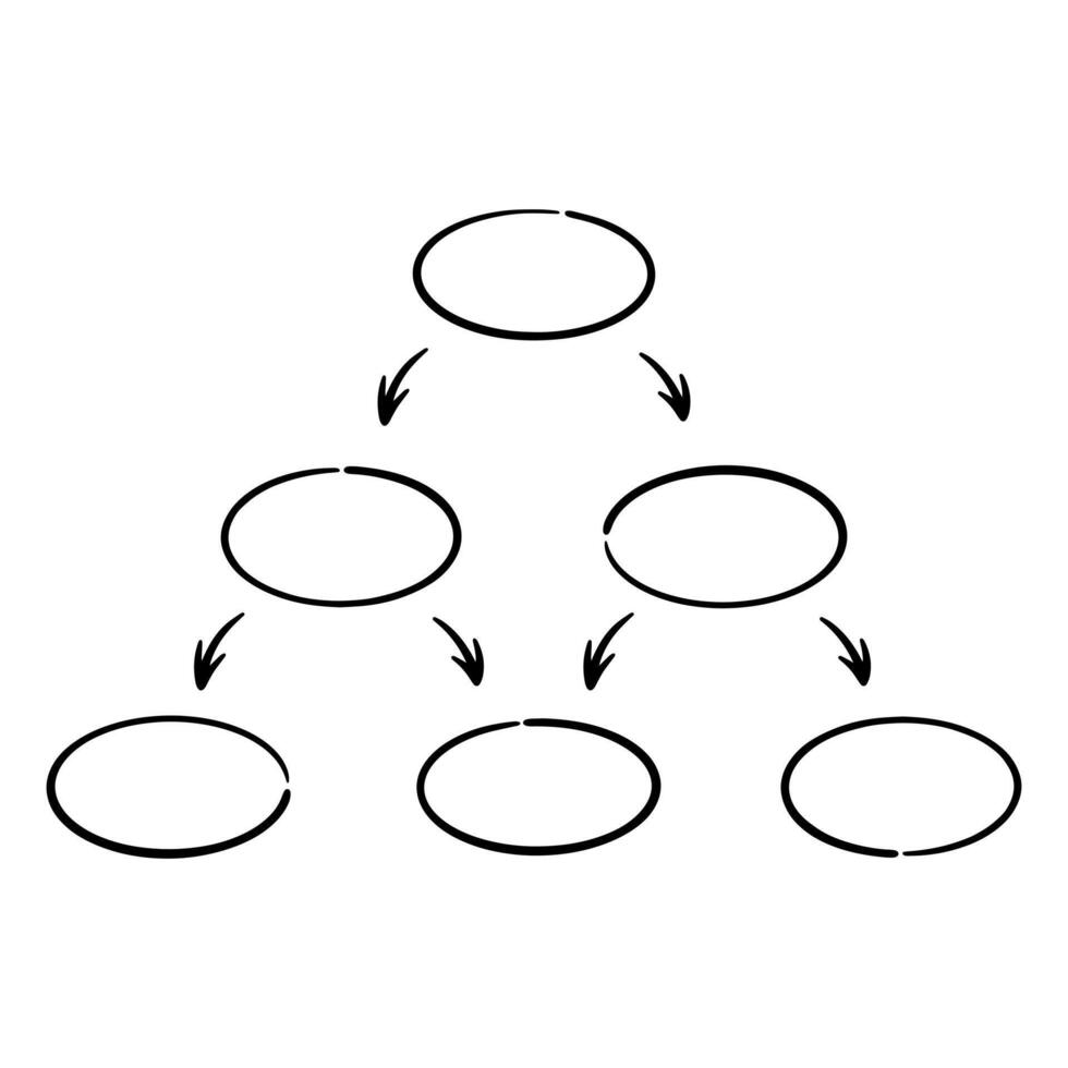 Hand drawing hierarchy chart structure with blank circles vector