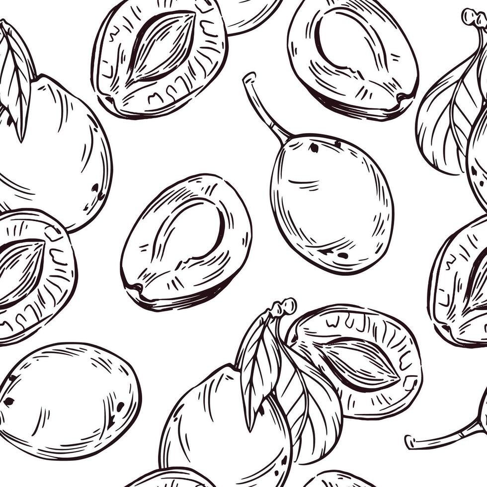 Seamless pattern of plums, half plums and prunes. All objects are hand-drawn in ink and converted into . The pattern is suitable for kitchen textile design, printing on paper and fabric vector