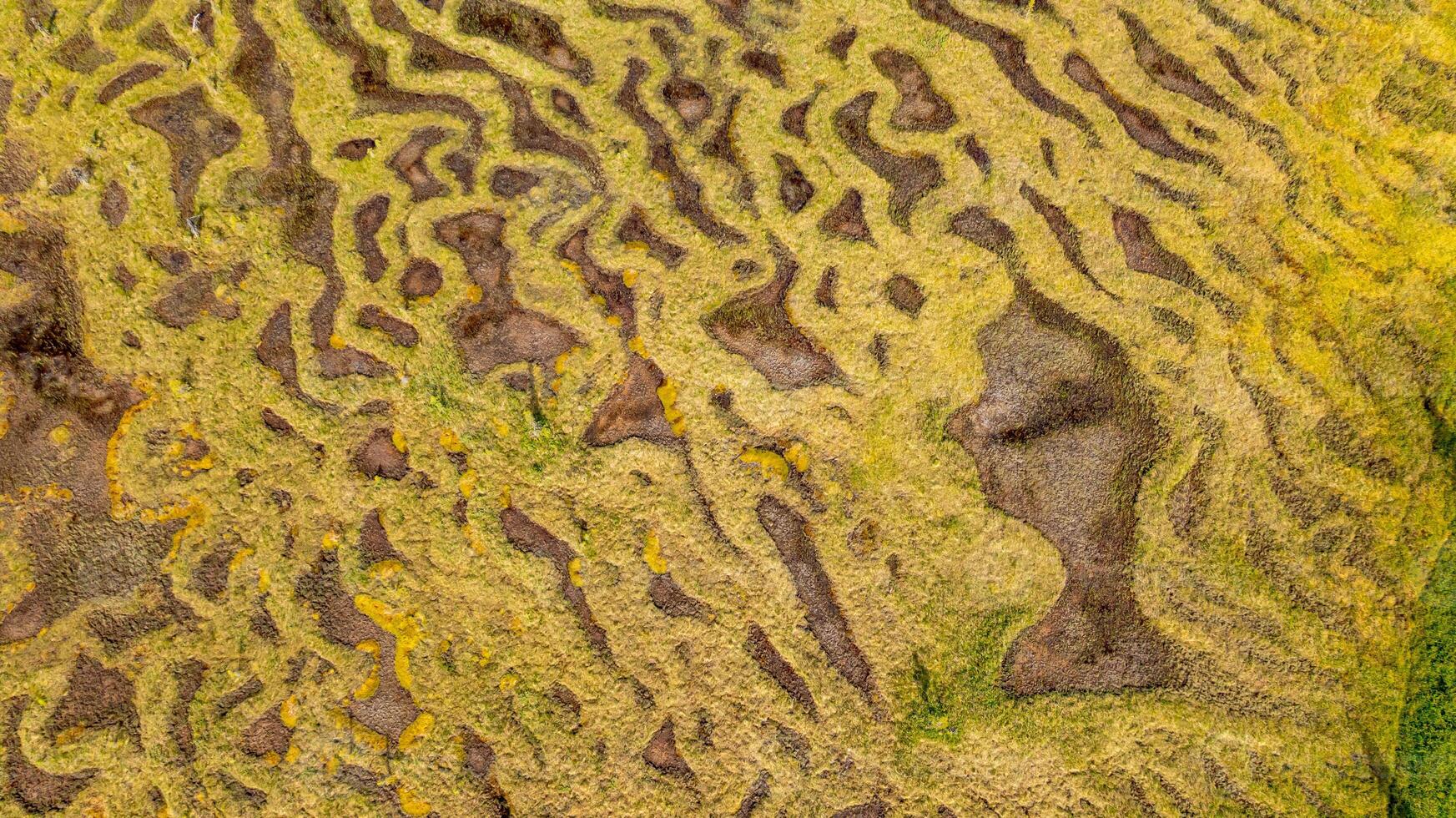 Top view of Alaskan tundra texture pattern. Aerial top-down view of Alaskan tundra surface showing detailed texture patterns of soil and moss. photo