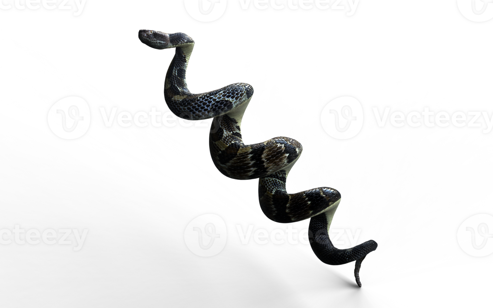 a calma antes a batida, isto cascavel bobinas com silencioso confiança. png