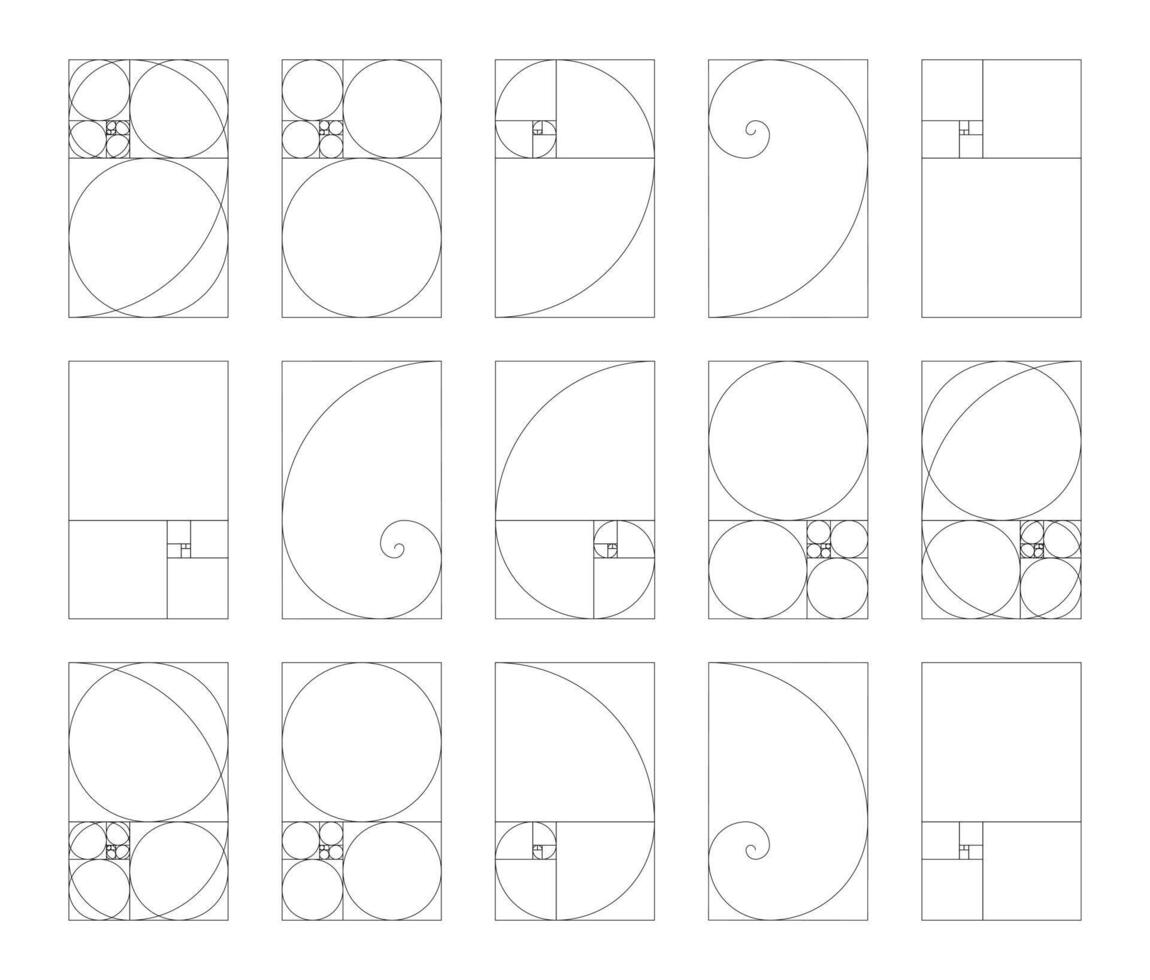 vertical dorado proporción armonía dimensiones modelo de 15 elementos. fibonacci números, formación colocar. vector