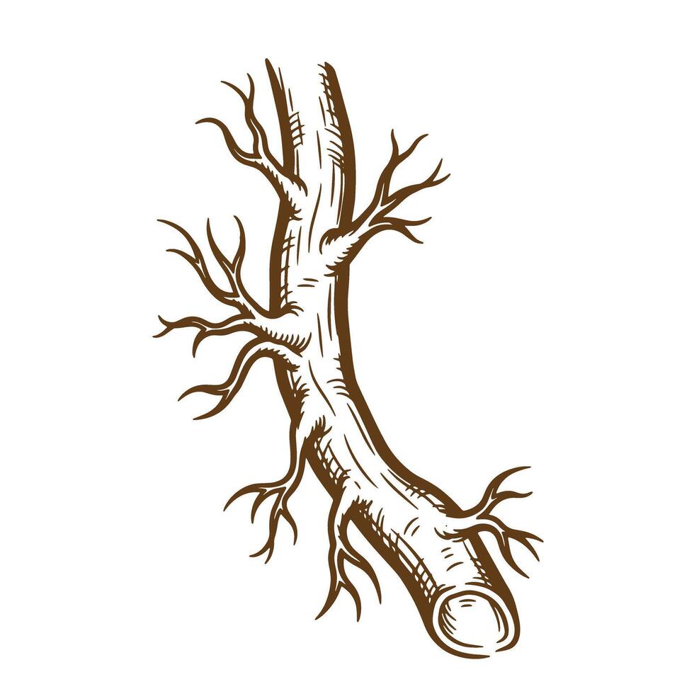 Artistic sketch illustration of a tree trunk branch showing wood texture and twigs vector