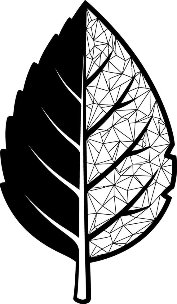 Abstract leaf displays geometric pattern in black and white symbolizing natures complexity vector