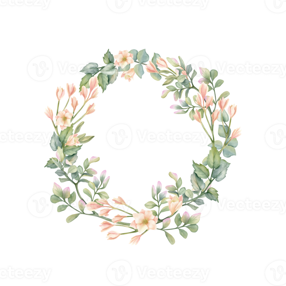 Delicate floral wreath, frame with beige freesia, leaves of pistachio, eucalyptus illustration. Pastel spring composition in rustic style, template with empty space isolated from background for text png