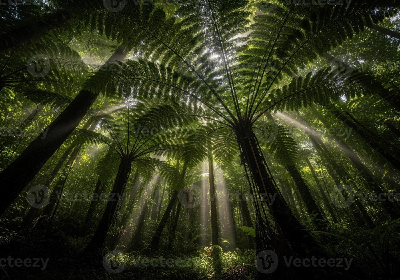 Dramatic sun rays piercing through the lush canopy of giant tree ferns in a dark jungle photo