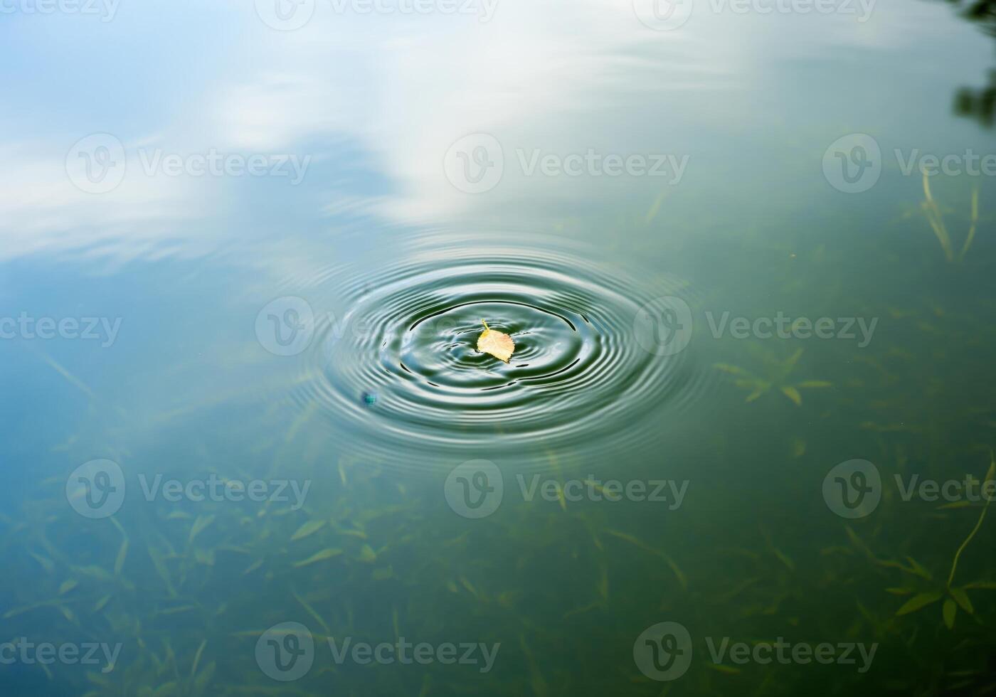 Serene water surface with concentric ripples caused by a small floating leaf photo
