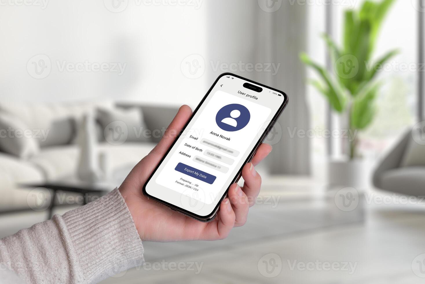 Smartphone interface displaying GDPR Export my data option with masked personal information and data format details, symbolizing transparency and control photo