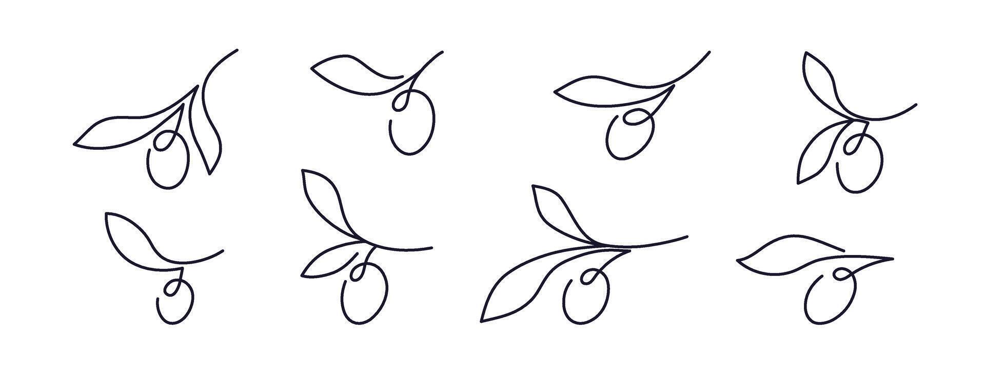 Olive branch. continuous line set. Minimal vector