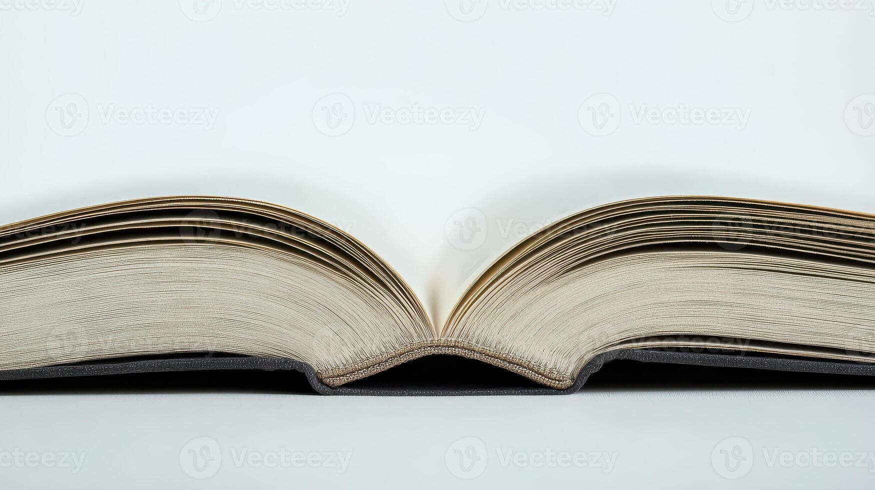Open Book Displays Many Pages in Sharp, Bright Studio Light photo