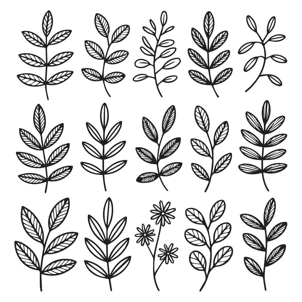 HandDrawn Botanical Leaf and Branch Elements design Collection vector