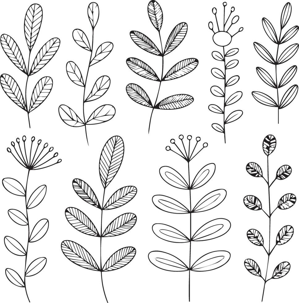 HandDrawn Botanical Leaf and Branch Elements Collection design vector