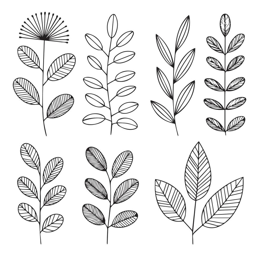 HandDrawn Botanical Leaf and Branch Elements Collection vector