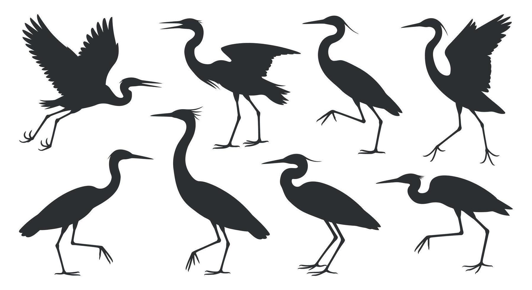 Collection of heron silhouette in walking and standing poses with open wings in dark color isolated on white background vector