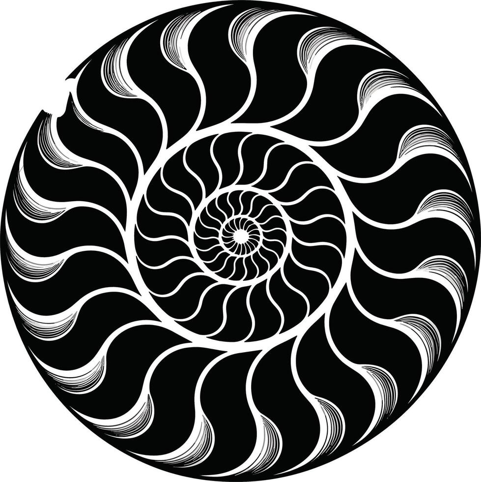 Black and white nautilus shell spiral pattern abstract design vector