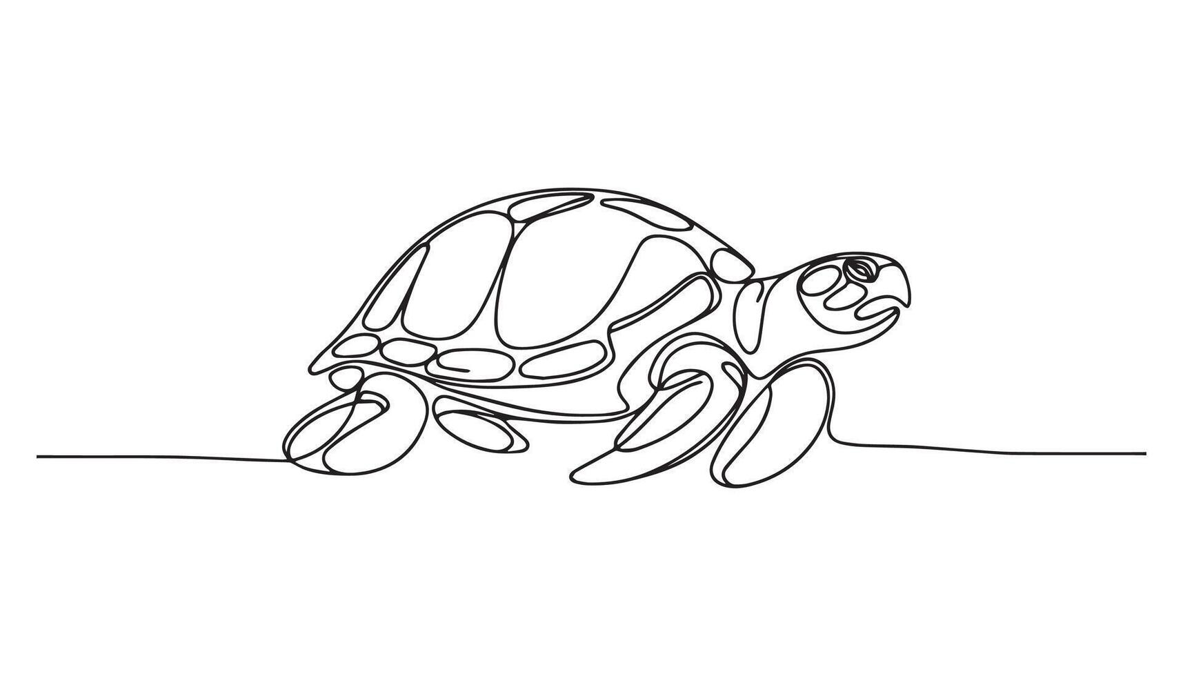 continuous line drawing of turtle on white background vector