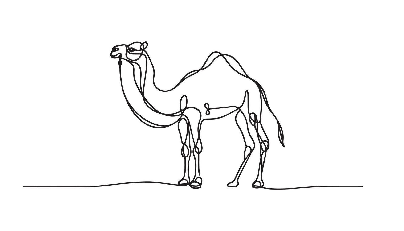 continuous line drawing of a camel vector