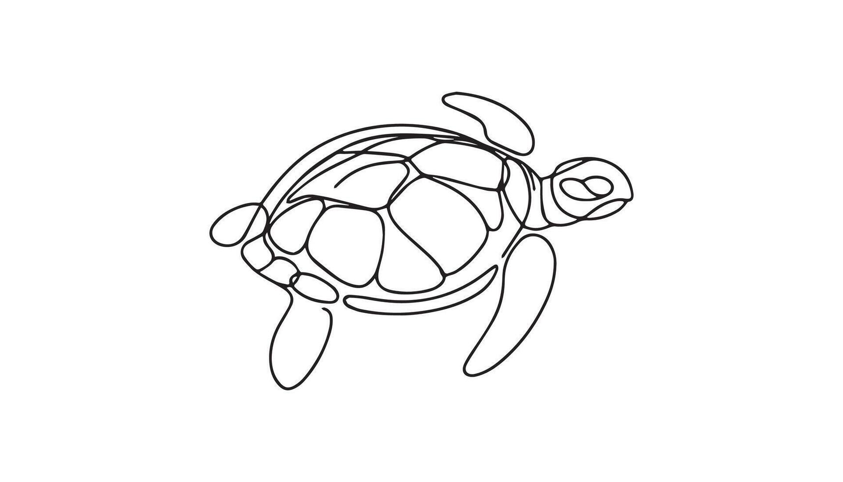 a turtle is drawn in a single line on a white background vector