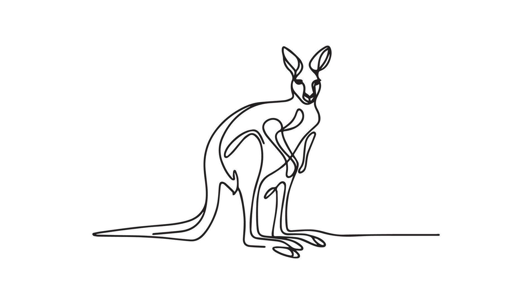 a continuous line drawing of a kangaroo vector