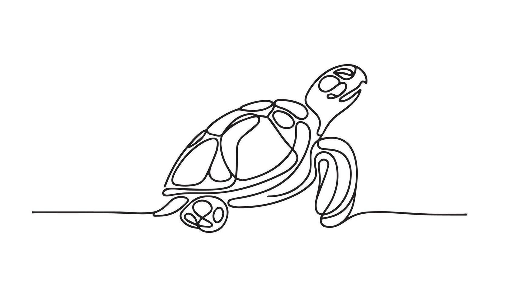 a continuous line drawing of a turtle vector