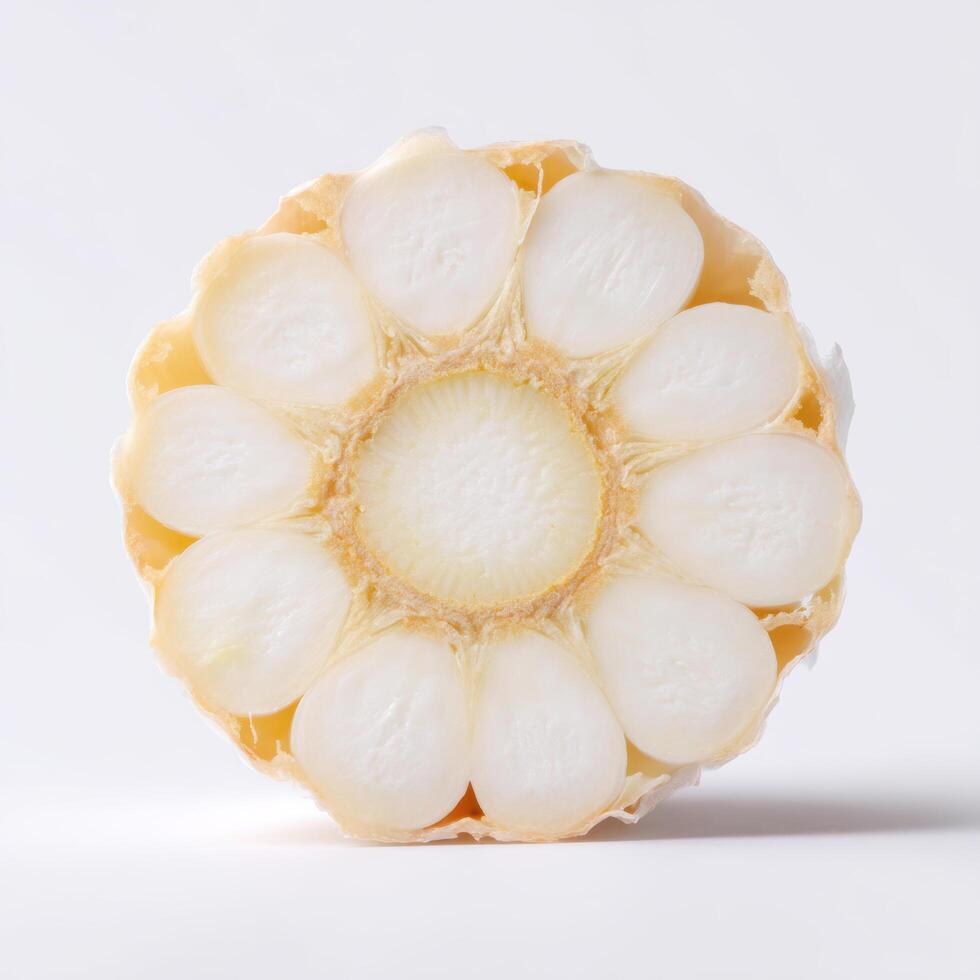 Closeup crosssection of a fresh corn cob showing its intricate pattern of kernels and fibrous core, isolated on white background photo