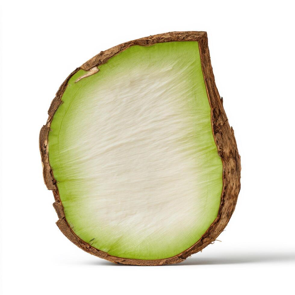 A crosssection of a taro root showing its fibrous texture and green outer layer, isolated on white background photo