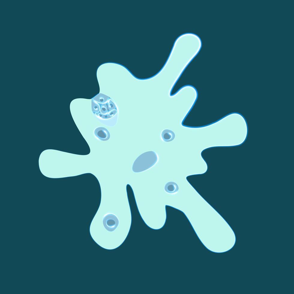 Amoeba proteus on a white background. Studying the structure of an amoeba. vector