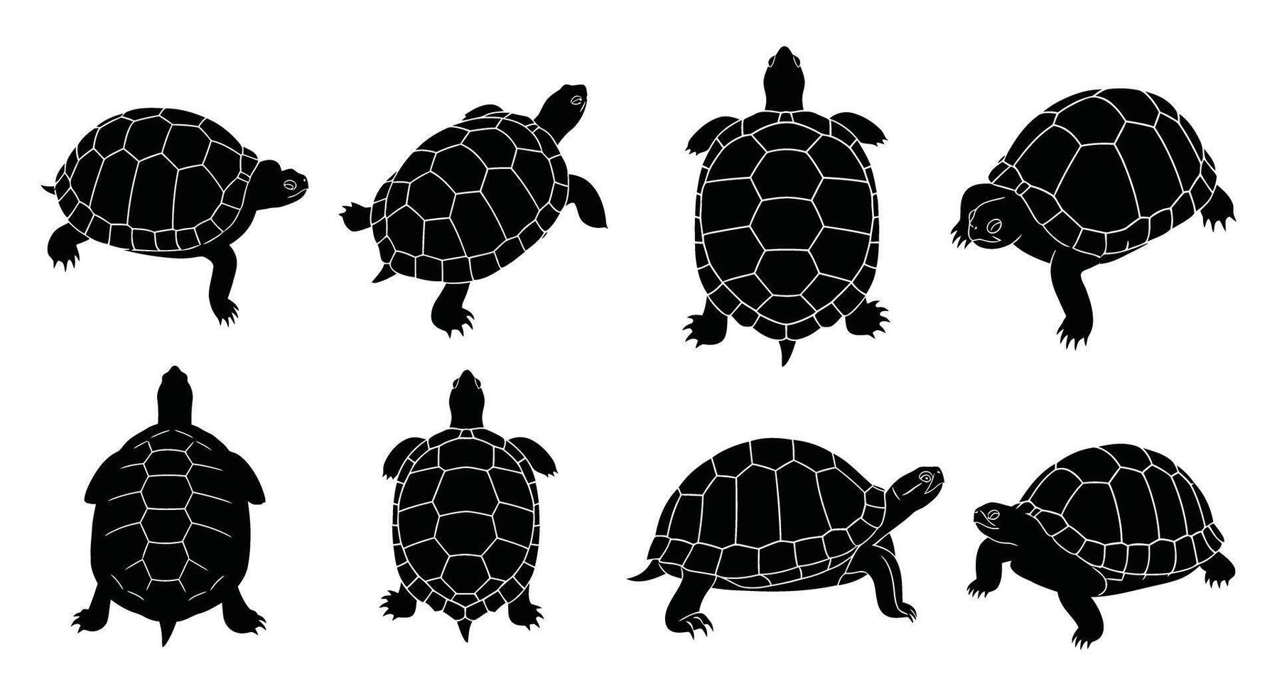 Collection of turtle silhouettes in various poses and angles for design elements vector