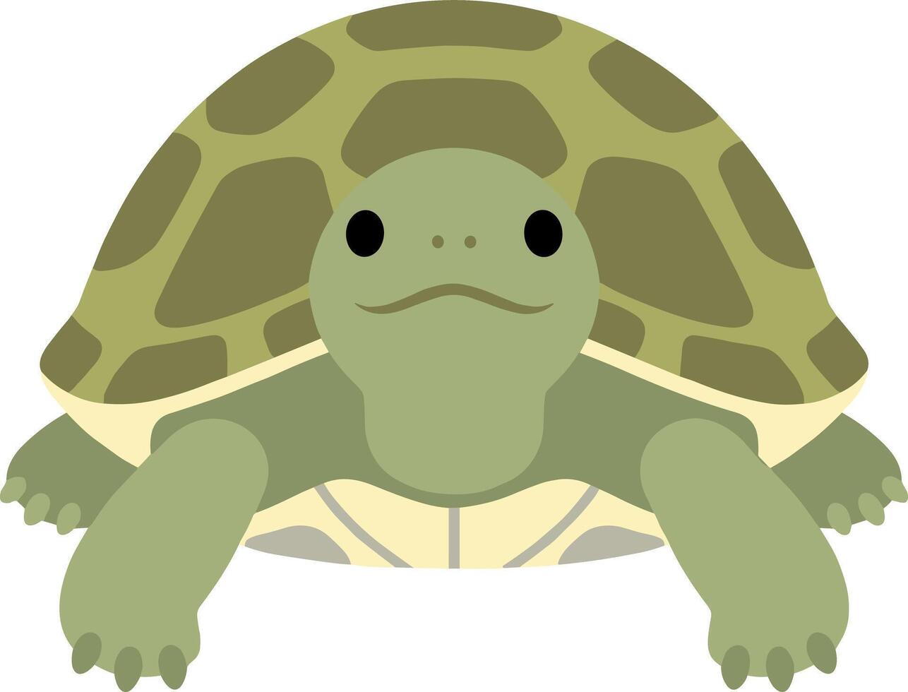 Simple Flat Design Smiling Turtle with Shell Reptile Illustration vector