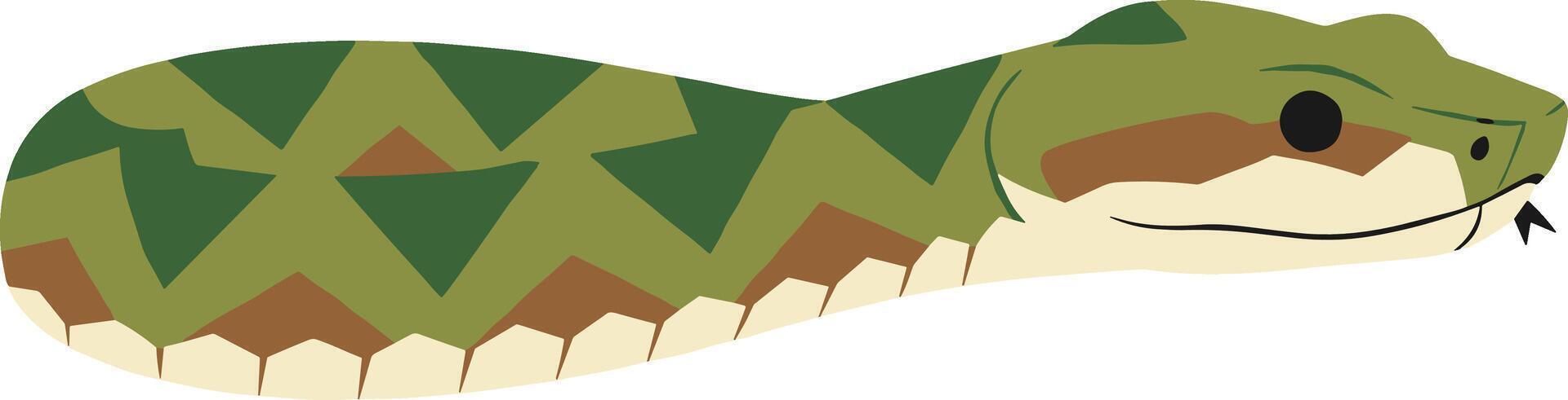 Flat Graphic Timber Rattlesnake Illustration with Geometric Pattern for Reptile Enthusiasts vector